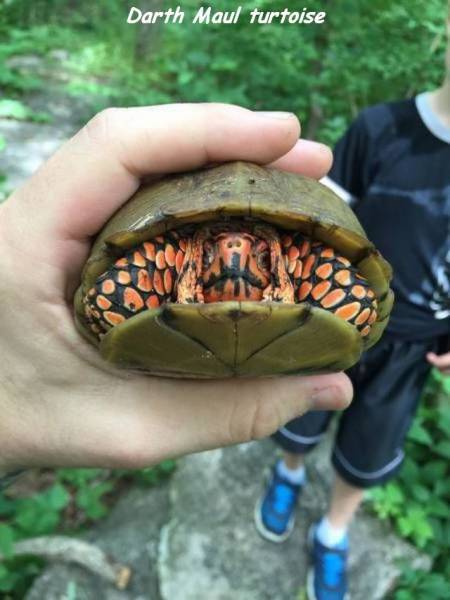 Daily Picdump [WEEKEND EDITION]