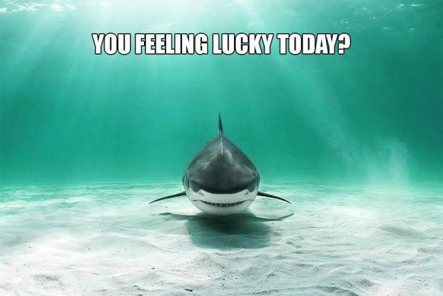 Daily Picdump [WEEKEND EDITION]