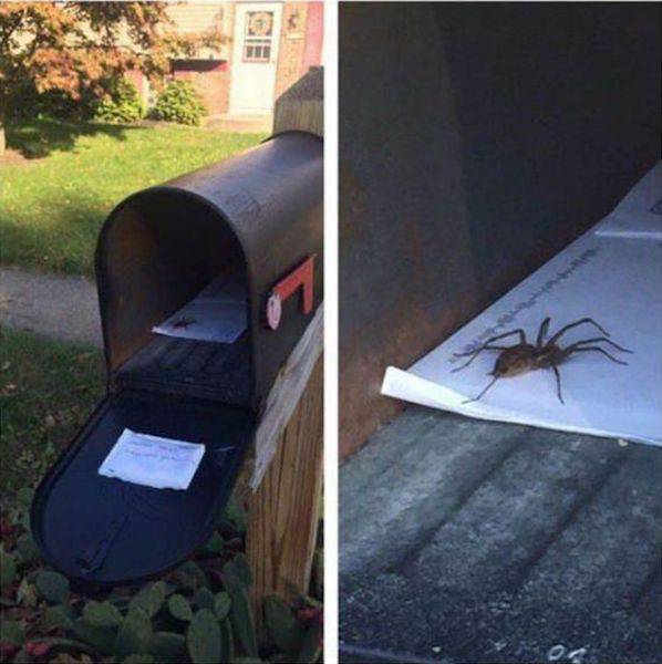 daily picdump weekend edition 60 pics 9.html - 60 HD Photos | Premium Gallery 2016