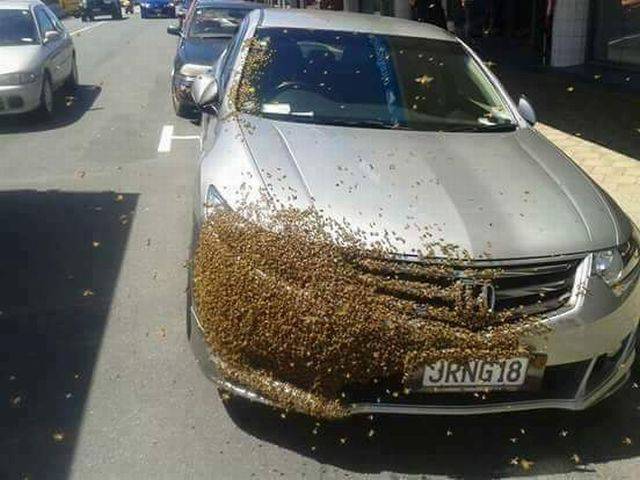 daily picdump 101 pics 4.html - 101 HD Photos | Premium Gallery 2016