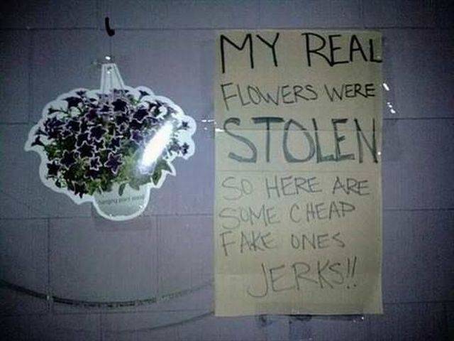 daily picdump 101 pics 4.html - 101 HD Photos | Premium Gallery 2016