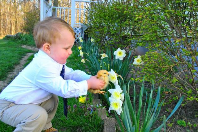 daily picdump 101 pics 4.html - 101 HD Photos | Premium Gallery 2016