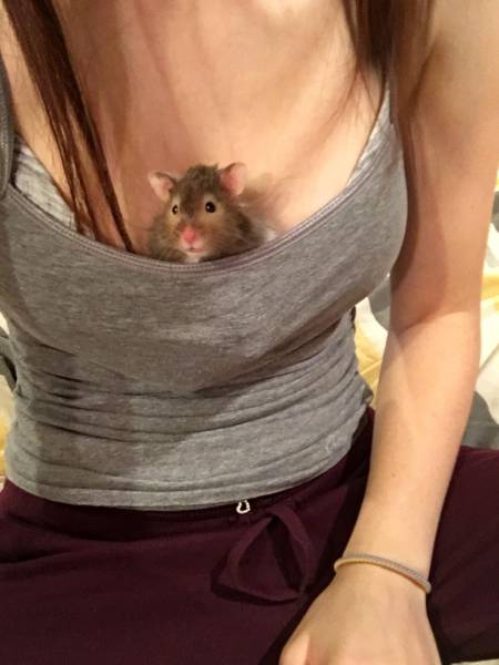 daily picdump 101 pics 4.html - 101 HD Photos | Premium Gallery 2016