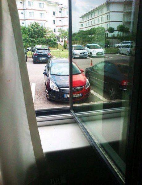 daily picdump 101 pics 4.html - 101 HD Photos | Premium Gallery 2016