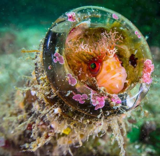 daily picdump 101 pics 4.html - 101 HD Photos | Premium Gallery 2016