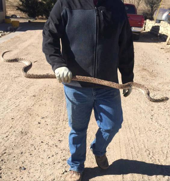 daily picdump 101 pics 4.html - 101 HD Photos | Premium Gallery 2016