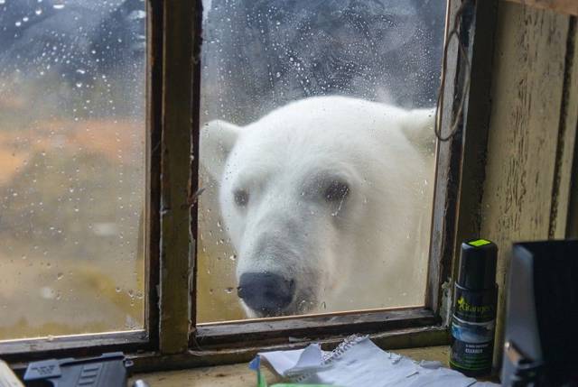 daily picdump 101 pics 4.html - 101 HD Photos | Premium Gallery 2016