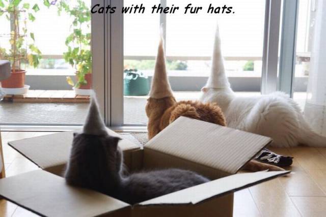 daily picdump 101 pics 4.html - 101 HD Photos | Premium Gallery 2016