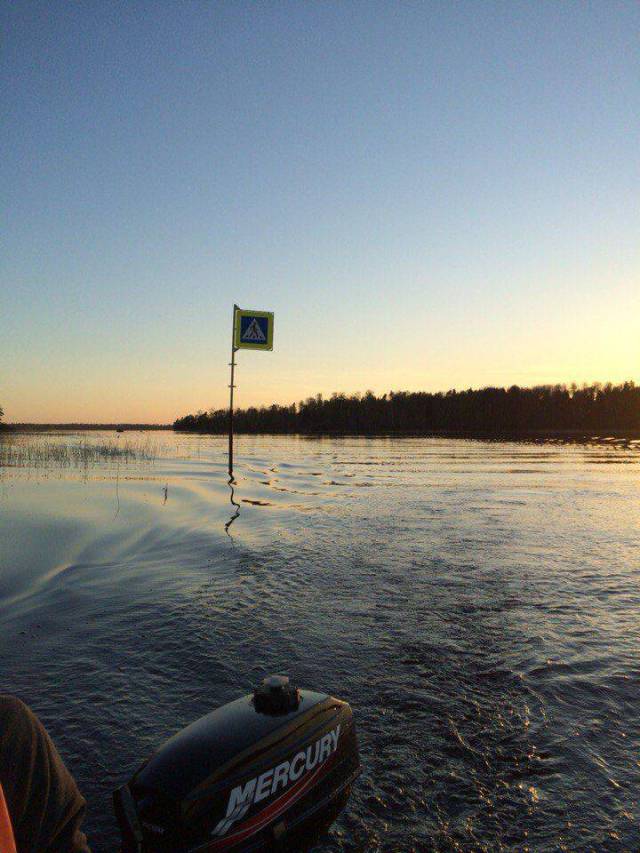 daily picdump 101 pics 4.html - 101 HD Photos | Premium Gallery 2016