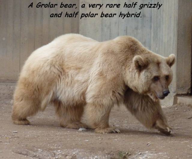 daily picdump 93 pics 36.html - 93 HD Photos | Premium Gallery 2016