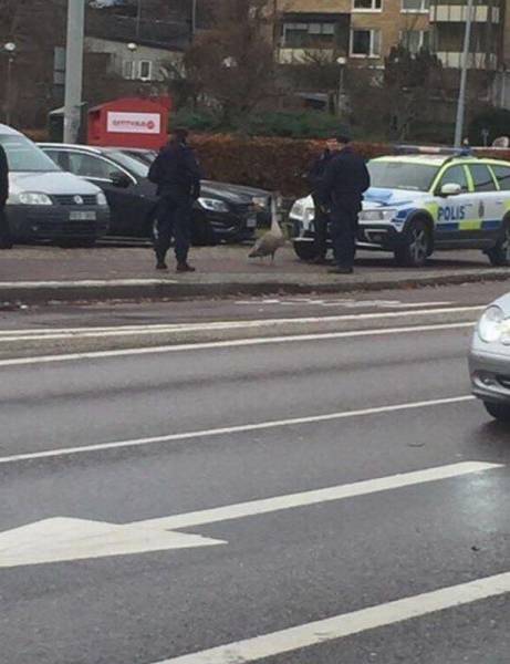 daily picdump 93 pics 36.html - 93 HD Photos | Premium Gallery 2016