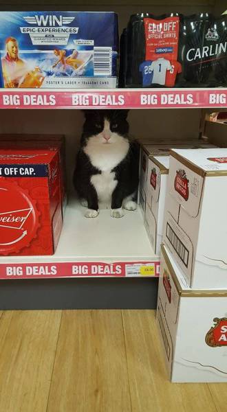 daily picdump 93 pics 36.html - 93 HD Photos | Premium Gallery 2016