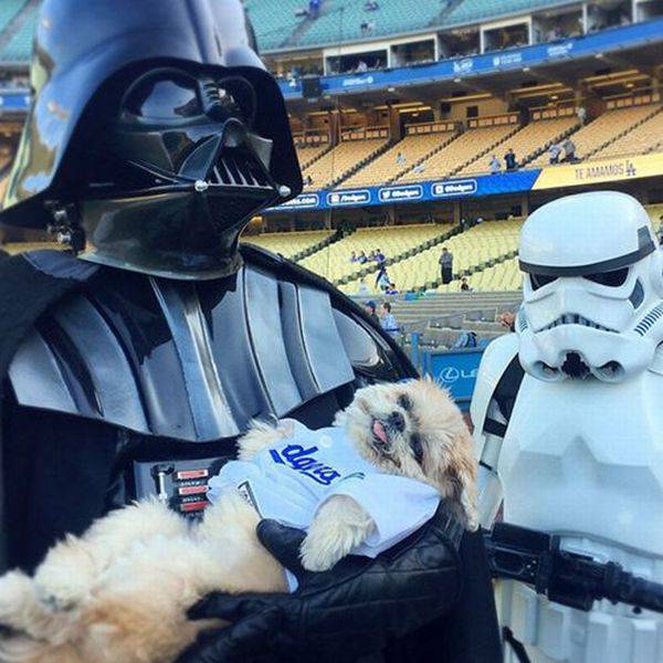 daily picdump 93 pics 36.html - 93 HD Photos | Premium Gallery 2016