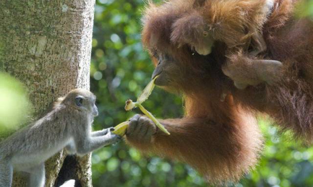 daily picdump 93 pics 36.html - 93 HD Photos | Premium Gallery 2016