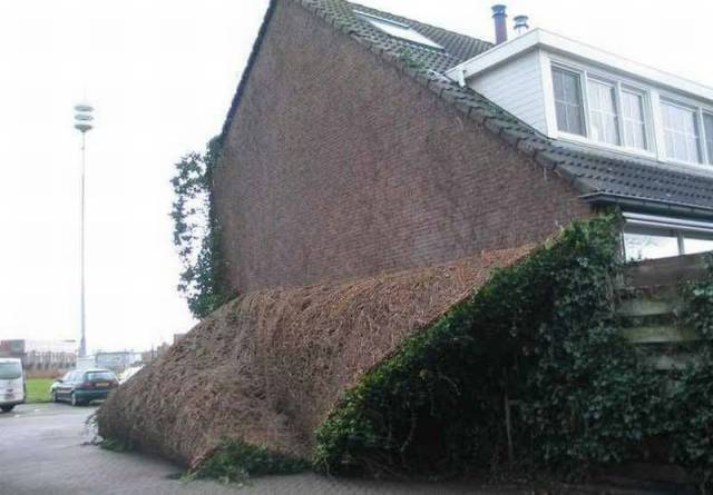 daily picdump 93 pics 36.html - 93 HD Photos | Premium Gallery 2016