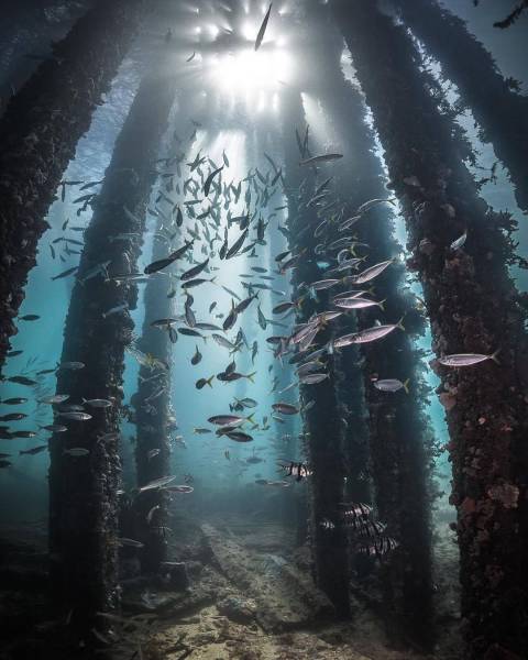 daily picdump 93 pics 36.html - 93 HD Photos | Premium Gallery 2016