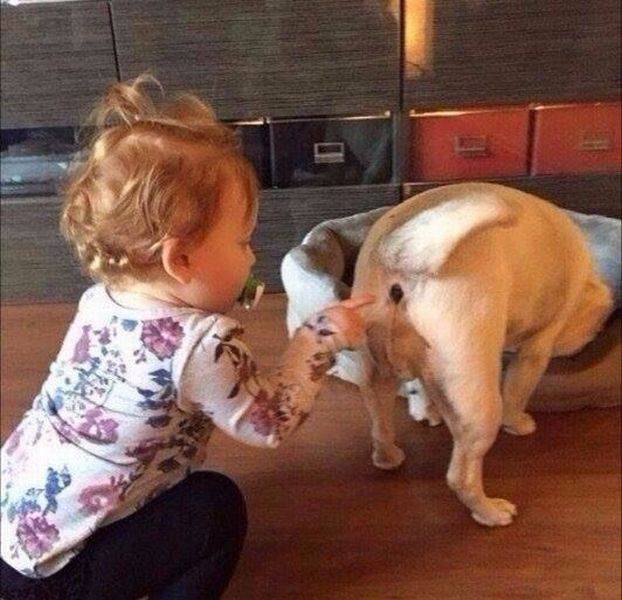 daily picdump 93 pics 36.html - 93 HD Photos | Premium Gallery 2016