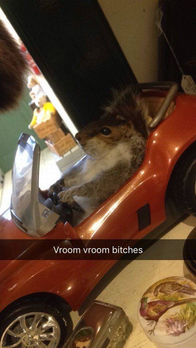 daily picdump 93 pics 36.html - 93 HD Photos | Premium Gallery 2016