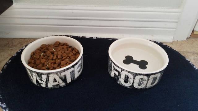 morning picdump 50 pics 2.html - 50 HD Photos | Premium Gallery 2016