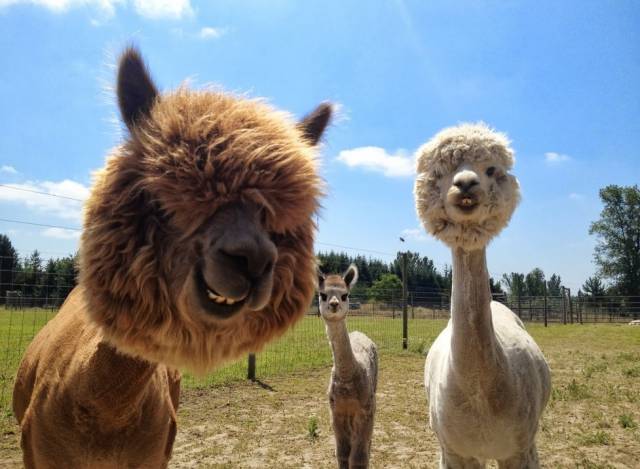 morning picdump 50 pics 2.html - 50 HD Photos | Premium Gallery 2016