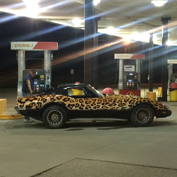 morning picdump 50 pics 2.html - 50 HD Photos | Premium Gallery 2016