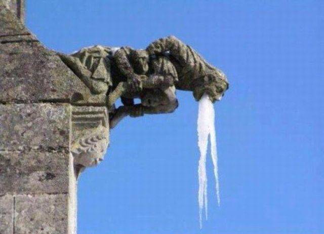 daily picdump 96 pics 2.html - 96 HD Photos | Premium Gallery 2016