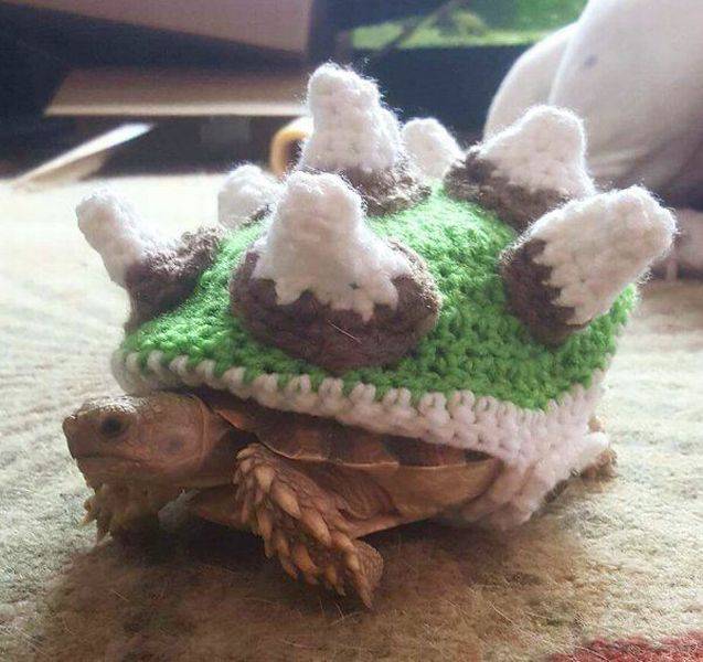 daily picdump 96 pics 2.html - 96 HD Photos | Premium Gallery 2016