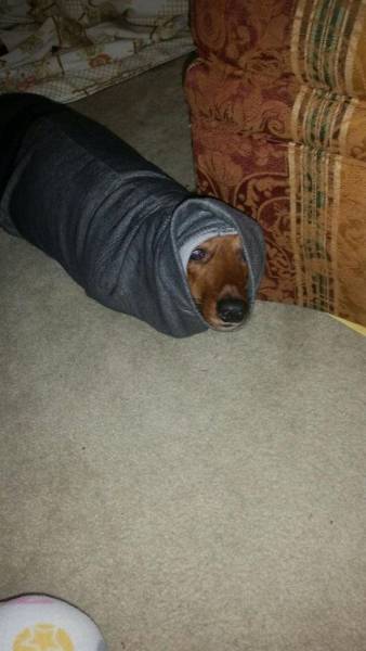 daily picdump 96 pics 2.html - 96 HD Photos | Premium Gallery 2016