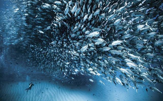 daily picdump 96 pics 2.html - 96 HD Photos | Premium Gallery 2016