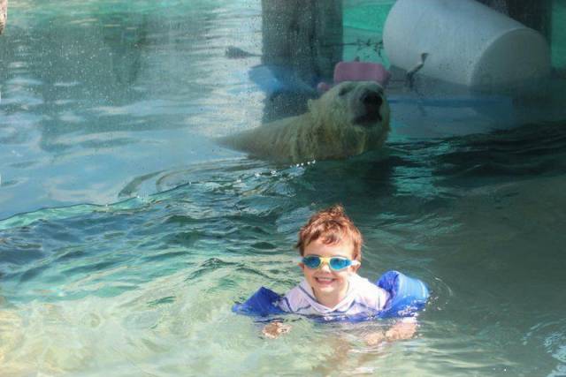 daily picdump 96 pics 2.html - 96 HD Photos | Premium Gallery 2016