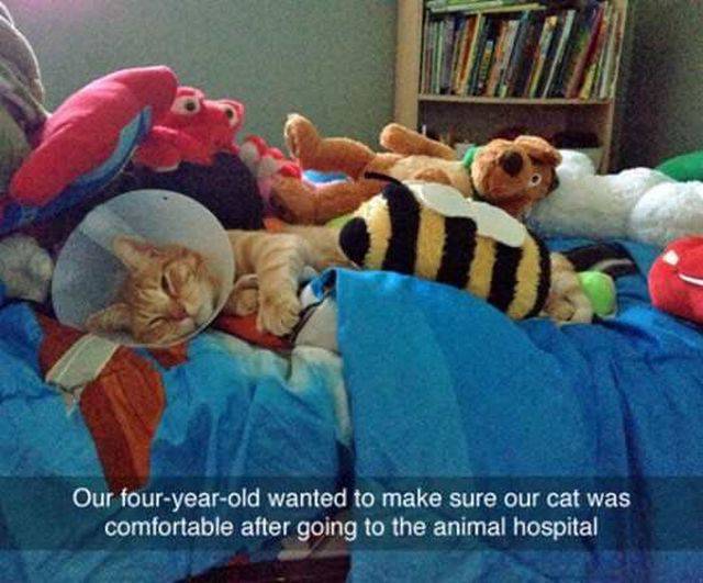 daily picdump 96 pics 2.html - 96 HD Photos | Premium Gallery 2016