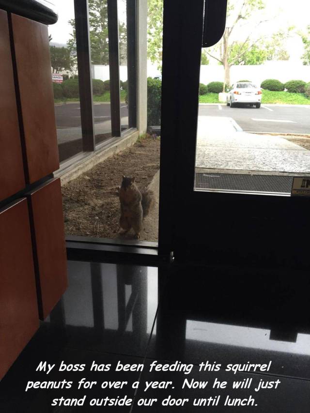 daily picdump 96 pics 2.html - 96 HD Photos | Premium Gallery 2016