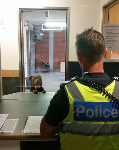 morning picdump 50 pics 1.html - 50 HD Photos | Premium Gallery 2016