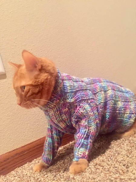 morning picdump 50 pics 1.html - 50 HD Photos | Premium Gallery 2016