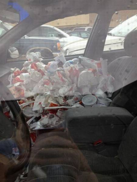 daily picdump 100 pics 11.html - 100 HD Photos | Premium Gallery 2016