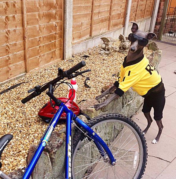 daily picdump 100 pics 11.html - 100 HD Photos | Premium Gallery 2016