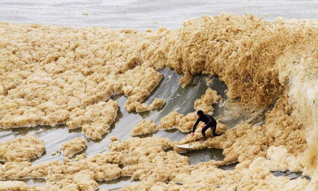 daily picdump 100 pics 11.html - 100 HD Photos | Premium Gallery 2016