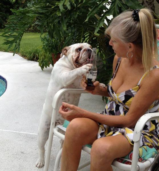 daily picdump 100 pics 11.html - 100 HD Photos | Premium Gallery 2016