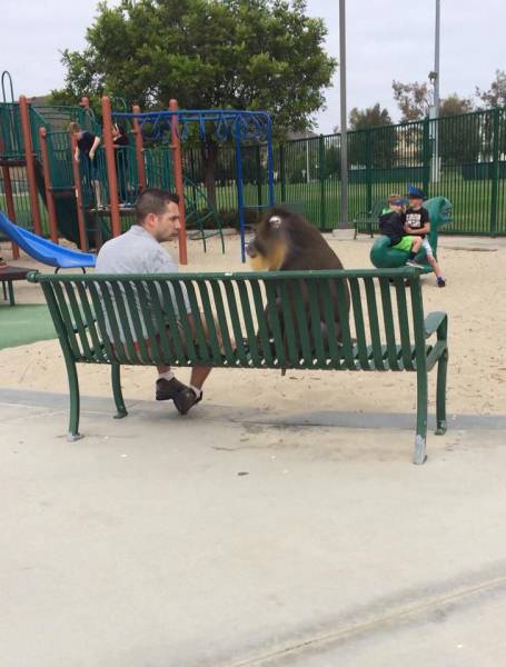 daily picdump 100 pics 11.html - 100 HD Photos | Premium Gallery 2016