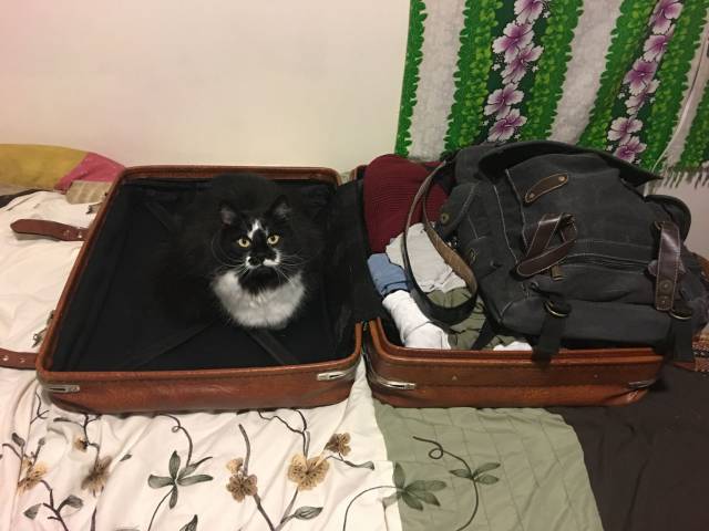 daily picdump 100 pics 11.html - 100 HD Photos | Premium Gallery 2016