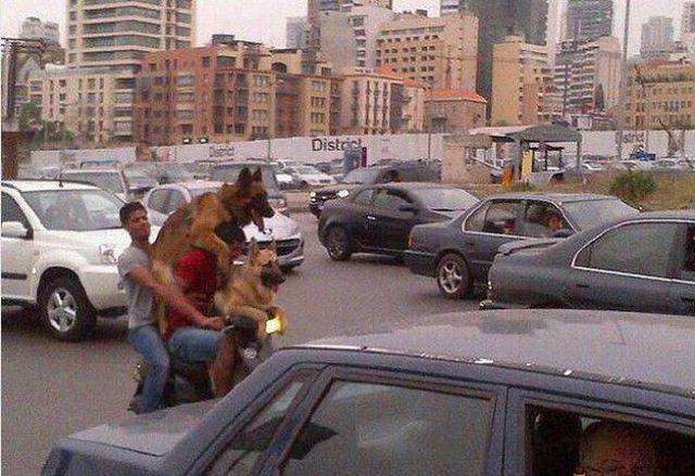 daily picdump 100 pics 11.html - 100 HD Photos | Premium Gallery 2016