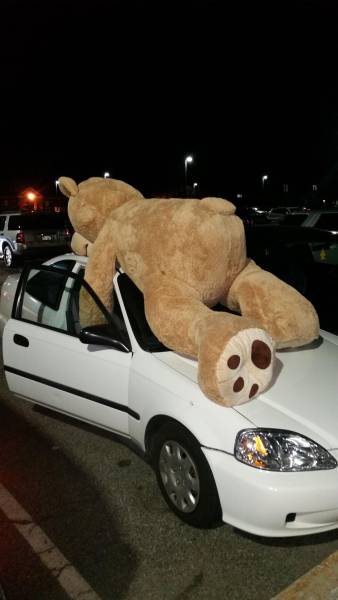 daily picdump 100 pics 11.html - 100 HD Photos | Premium Gallery 2016