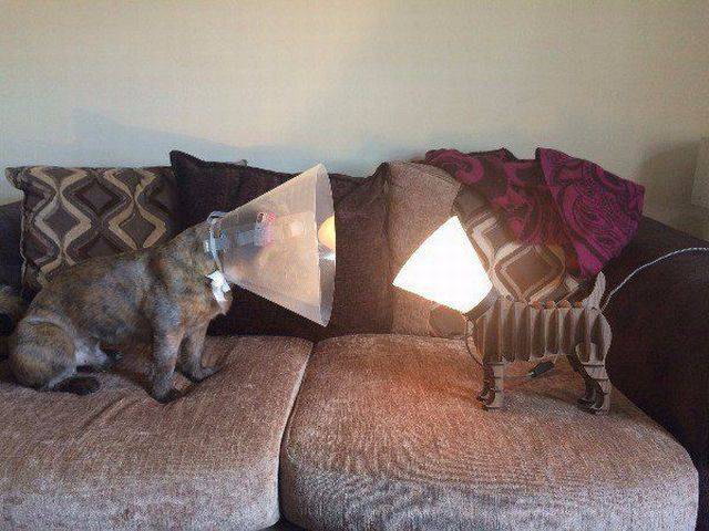 daily picdump 100 pics 11.html - 100 HD Photos | Premium Gallery 2016