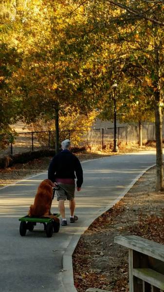 morning picdump 51 pics 3.html - 51 HD Photos | Premium Gallery 2016