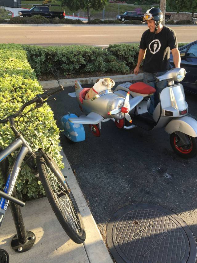 morning picdump 51 pics 3.html - 51 HD Photos | Premium Gallery 2016