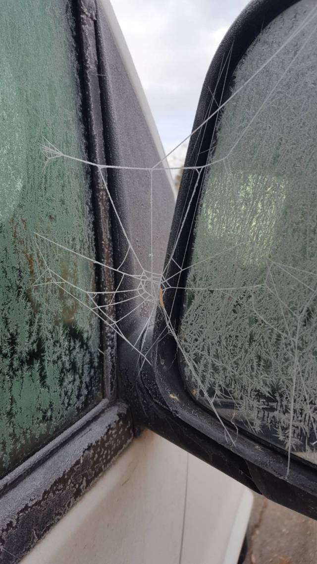 morning picdump 51 pics 3.html - 51 HD Photos | Premium Gallery 2016