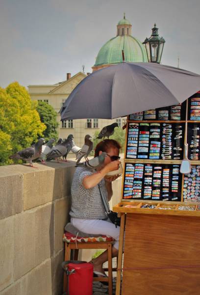 daily picdump 80 pics 33.html - 80 HD Photos | Premium Gallery 2016