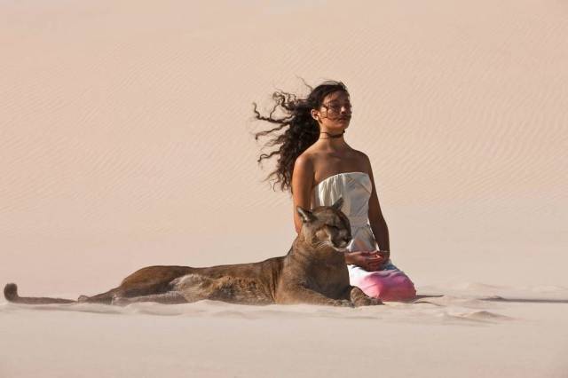 daily picdump 80 pics 33.html - 80 HD Photos | Premium Gallery 2016