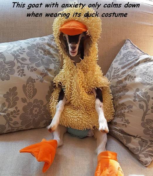 daily picdump 80 pics 33.html - 80 HD Photos | Premium Gallery 2016