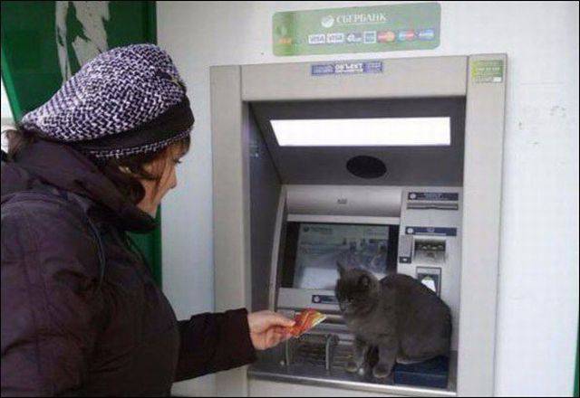 daily picdump 80 pics 33.html - 80 HD Photos | Premium Gallery 2016